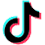 TikTok icon